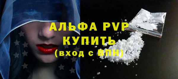 шишки Слюдянка