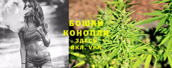ешки Белокуриха
