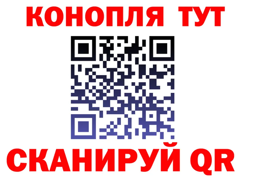 APVP СК вход площадка гидра Павловск