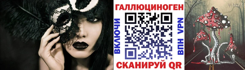 Псилоцибиновые грибы Psilocybine cubensis  Павловск 